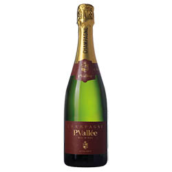 Champagne Blanc de Noirs Extra Brut