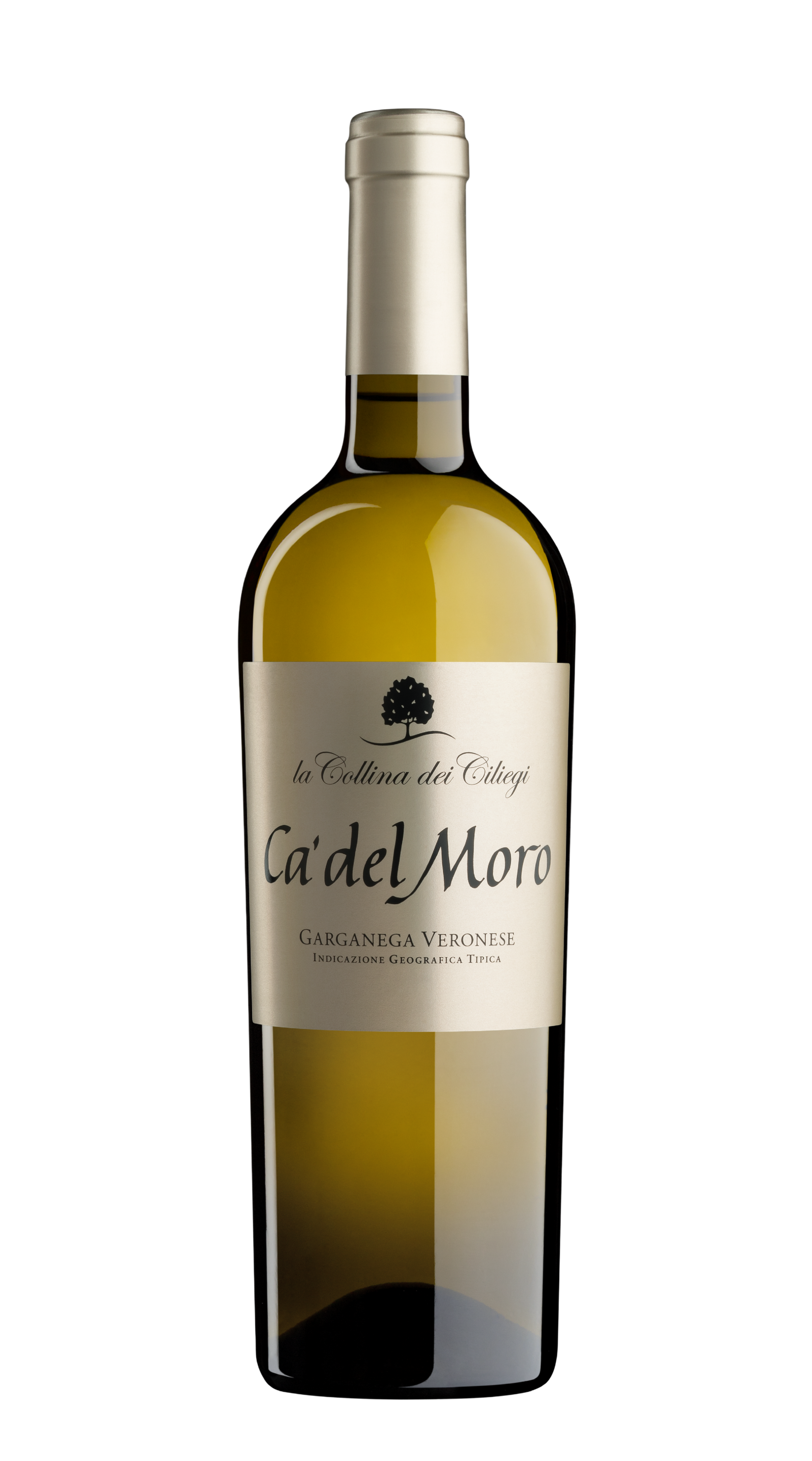 Garganega 'Cà del Moro' Collina dei Ciliegi