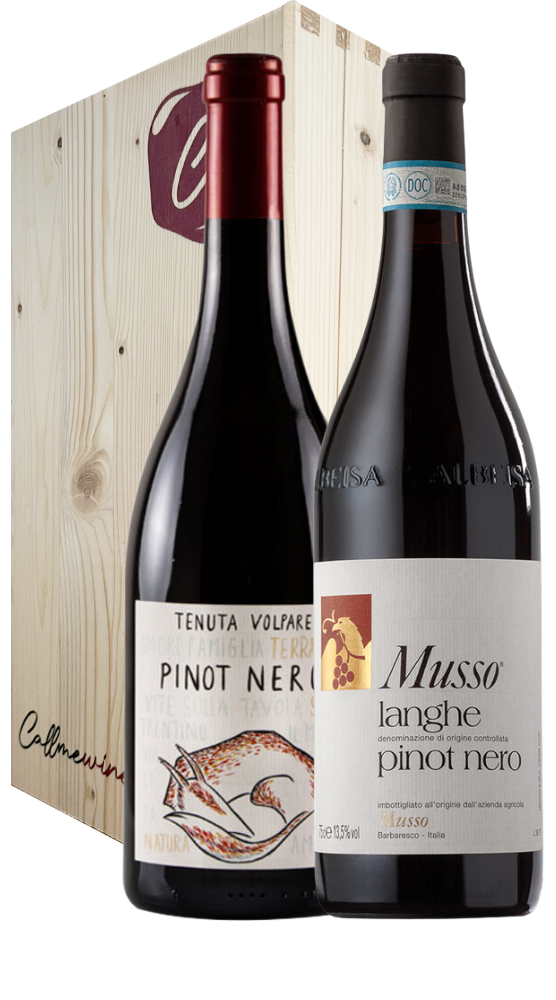 Cassa Pinot Nero Italiani (2bt)