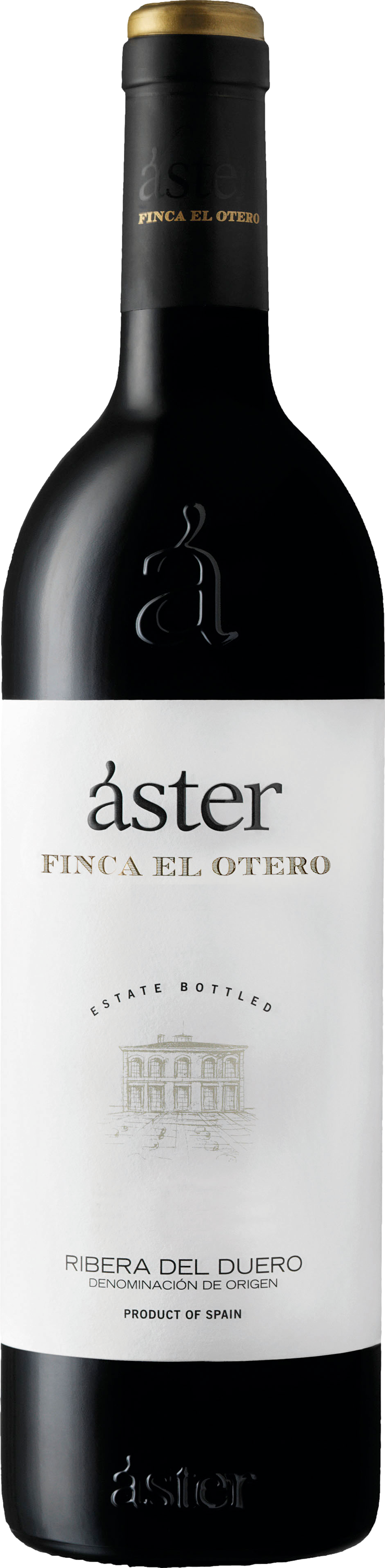 Aster Finca El Otero 2021