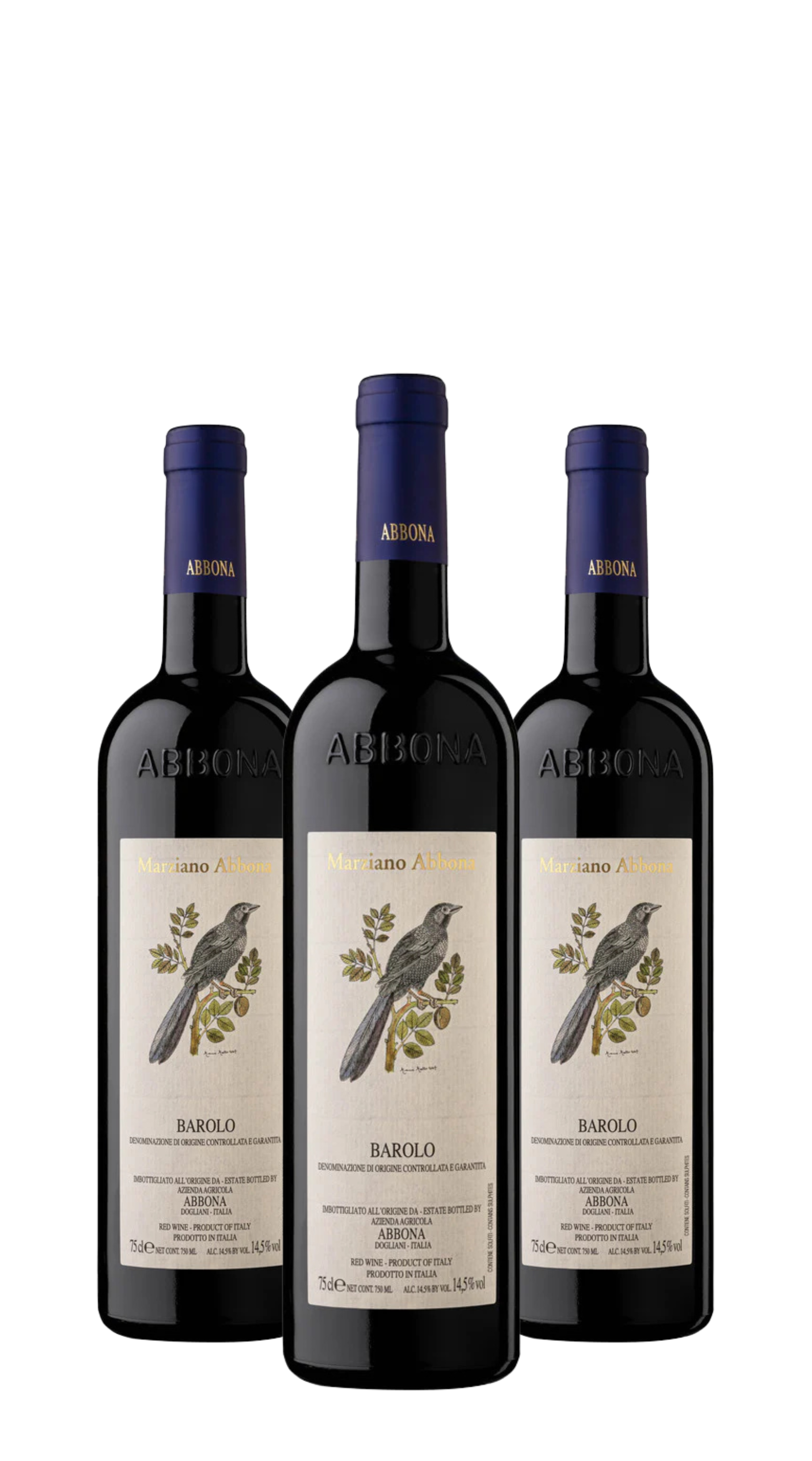 Wine Box Barolo (3bt)