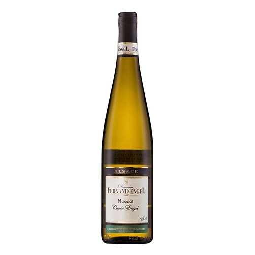 Alsace Muscat Secco Réserve