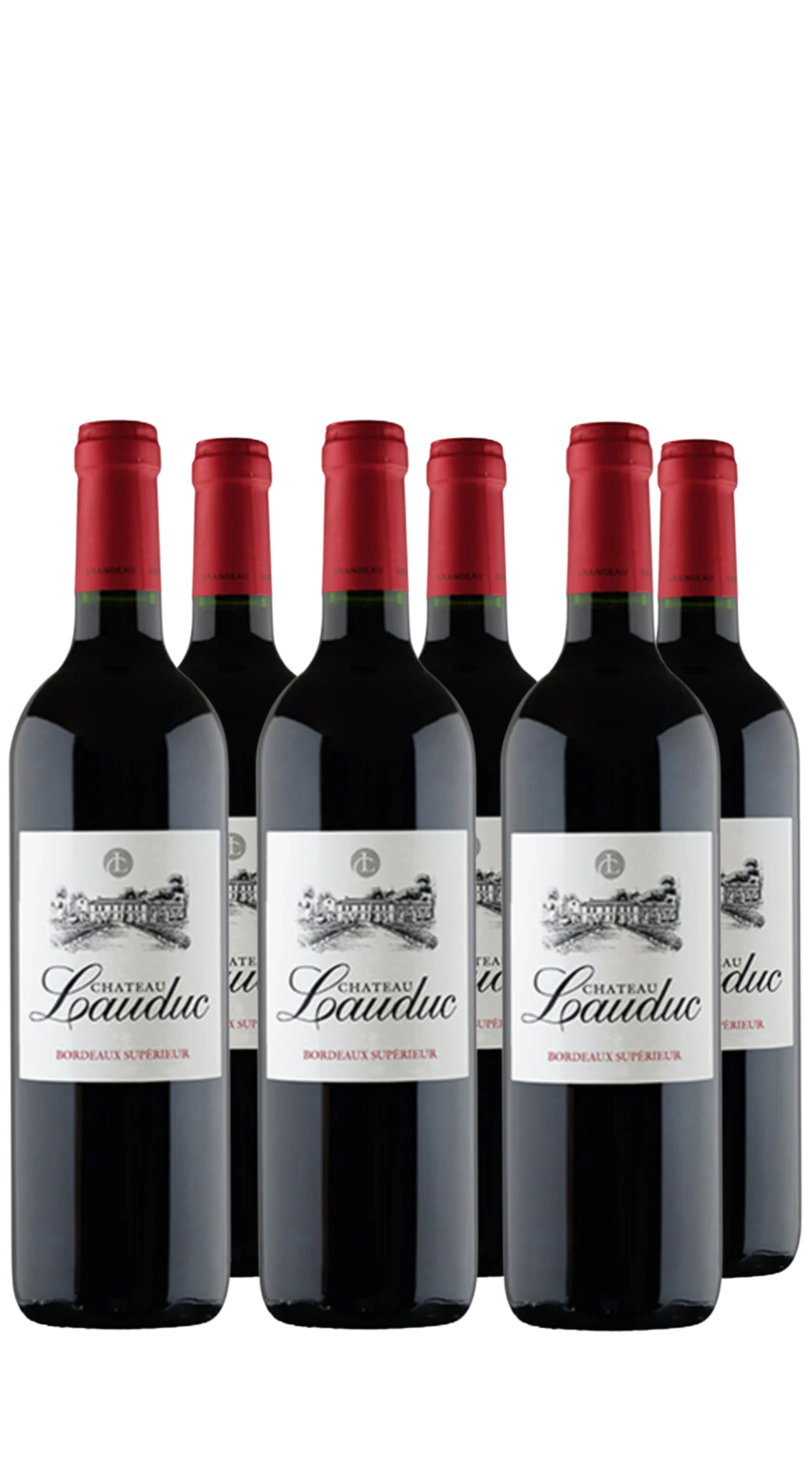Wine Box Bordeaux 'Tradition' Lauduc (6bt)
