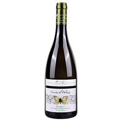 Tenuta di Vaira Caccia al Palazzo Bolgheri DOC Vermentino 2025 0,75 ℓ