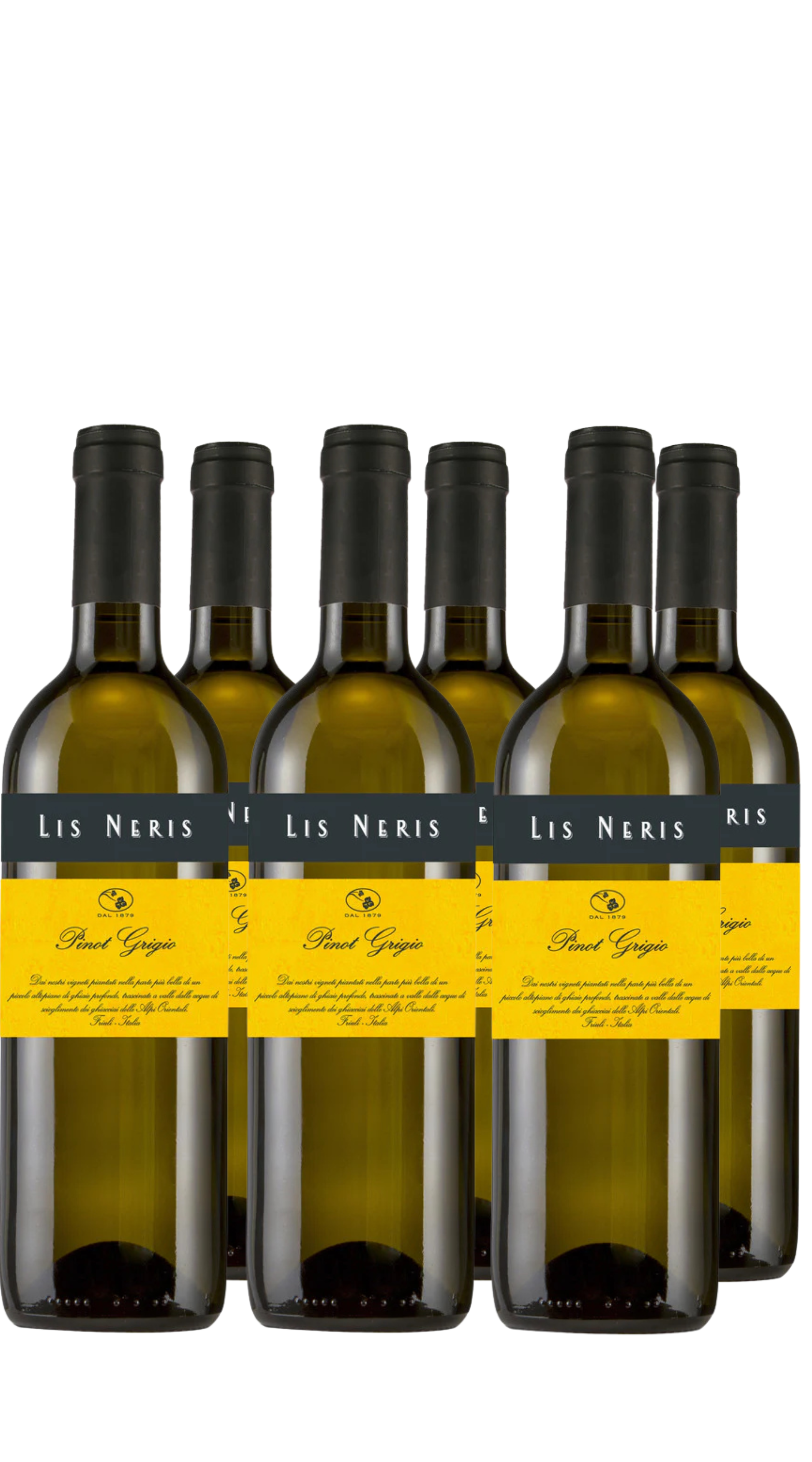 Wine Box Pinot Grigio (6bt)